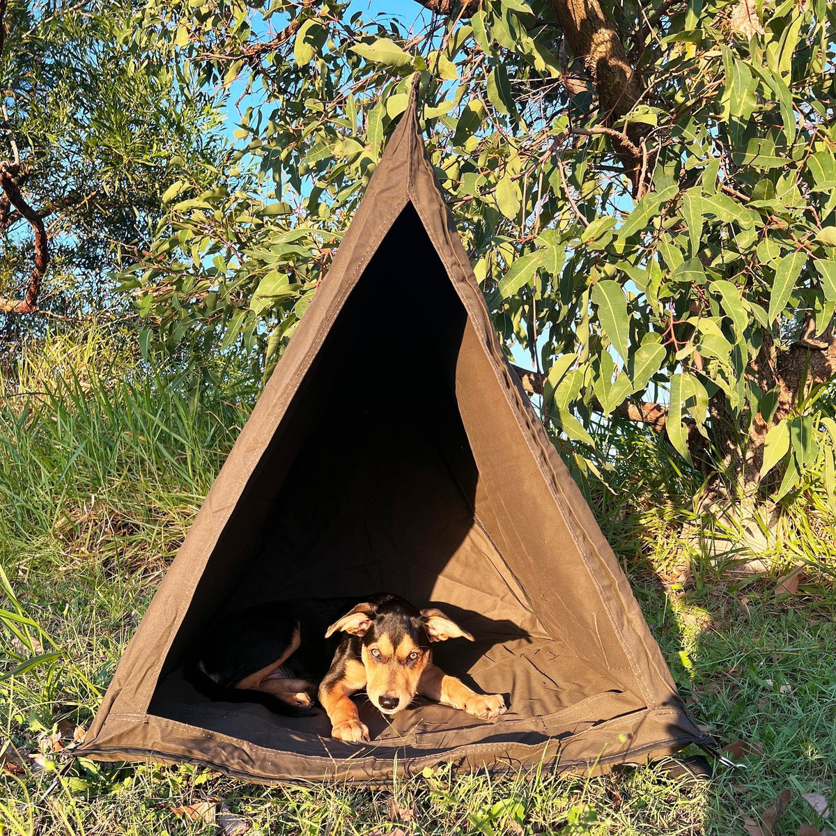 Dog Swag, view 2