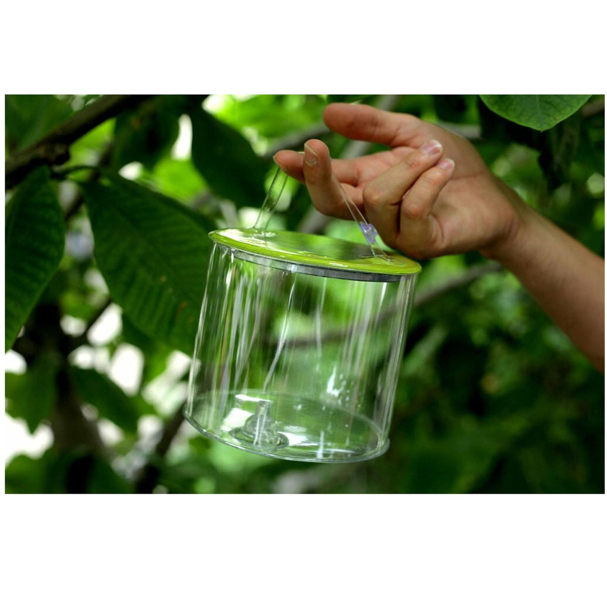 Solar Inflatable Lantern with USB Charging – 150 Lumen, view 6